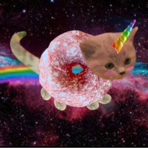 Unicorn Solami Donut Cat
